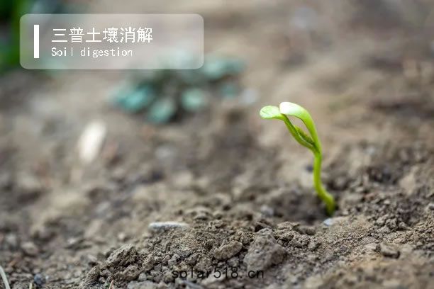 土壤重金屬(shǔ)元(yuán)素濕(shī)法消解