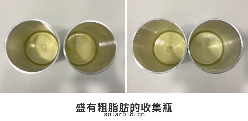 盛有粗脂(zhī)肪的收集瓶